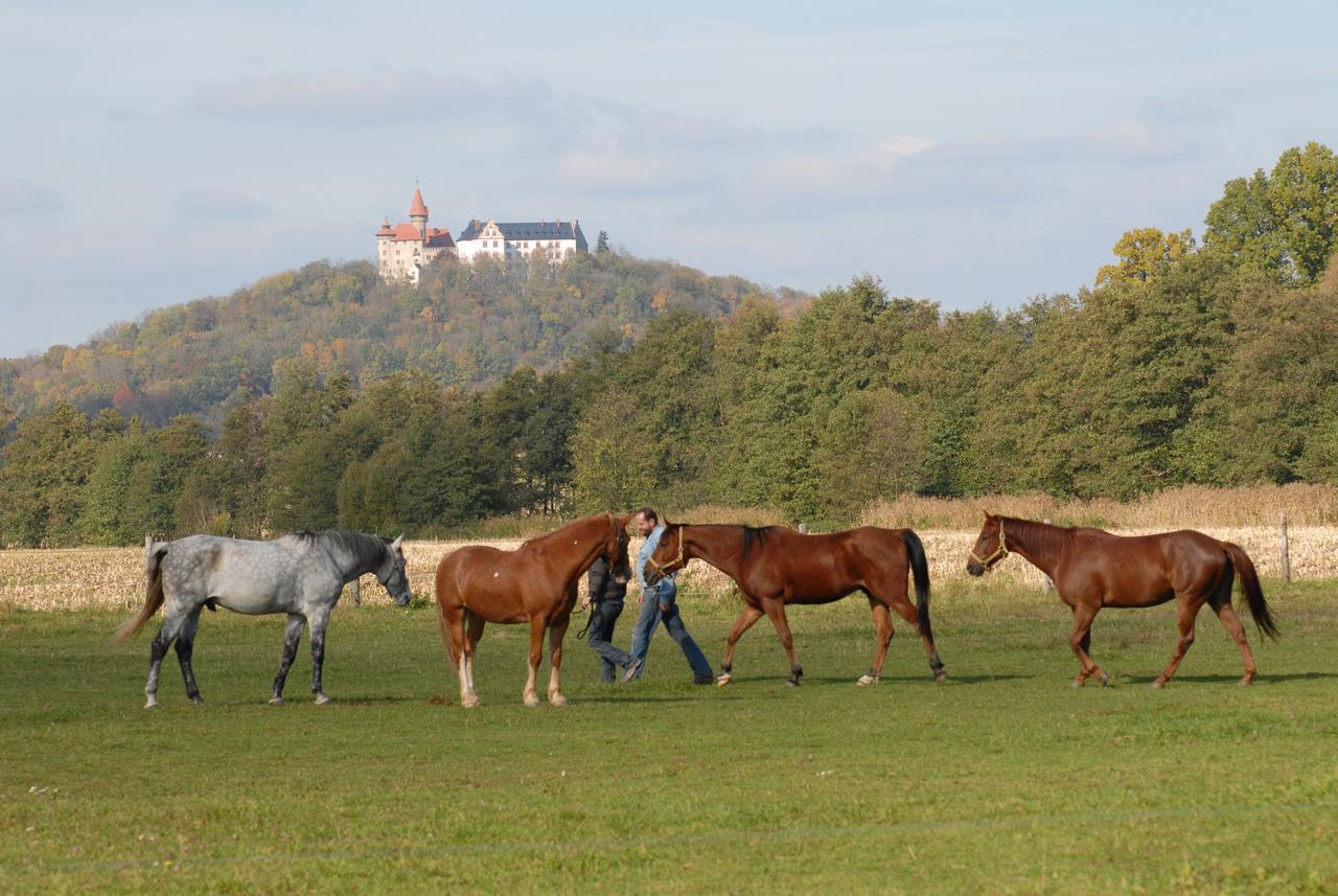 Land- Und Aktivhotel Altmuehlaue Бад-Родах Екстер'єр фото